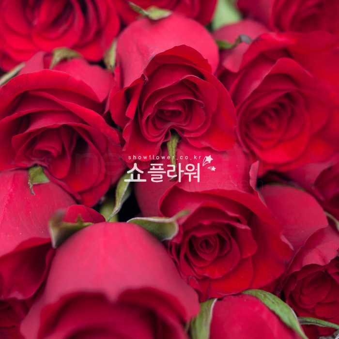 상세이미지