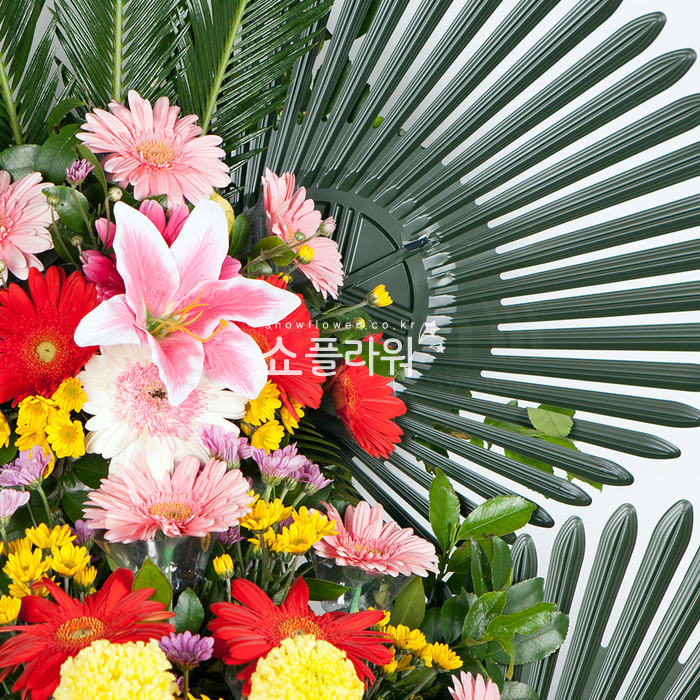 상세이미지
