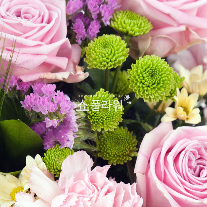 상세이미지