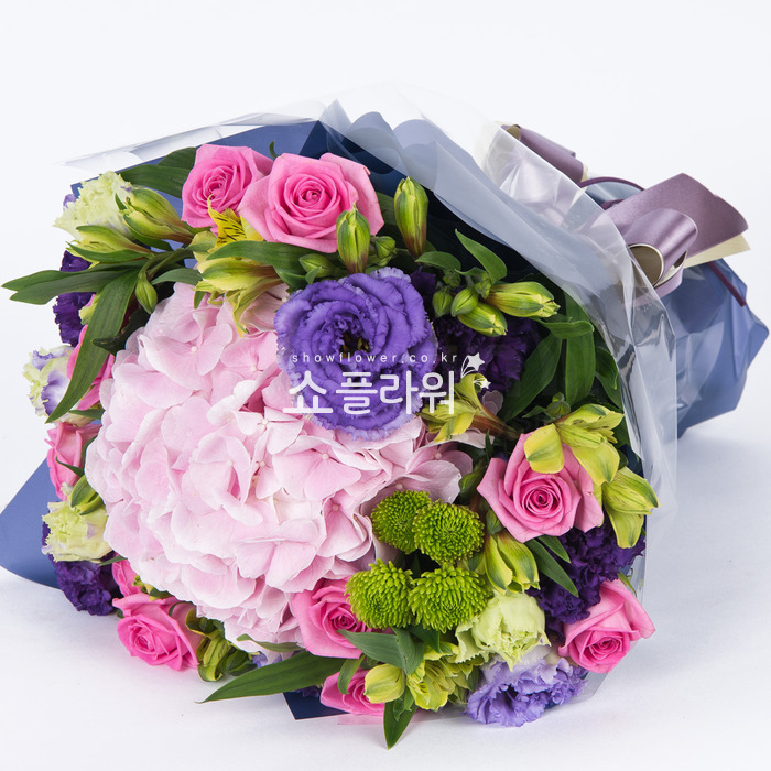 상세이미지
