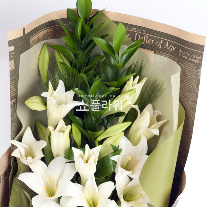 상세이미지