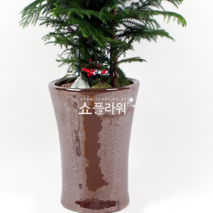 상세이미지