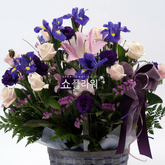 상세이미지