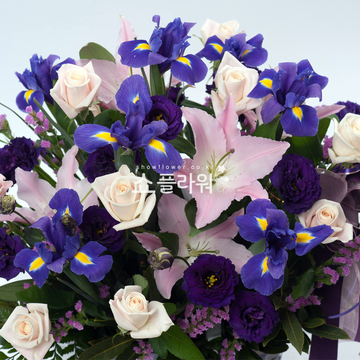 상세이미지