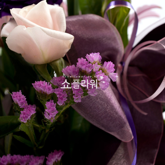 상세이미지
