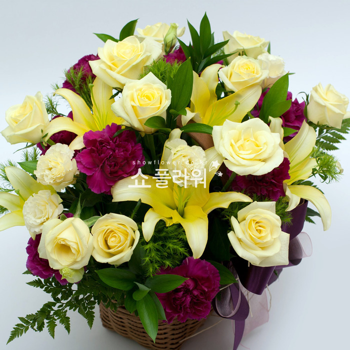 상세이미지