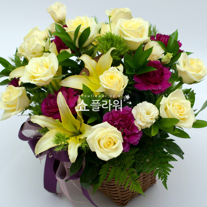 상세이미지