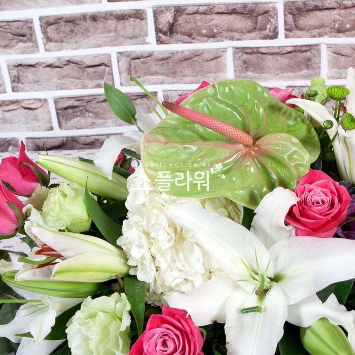 상세이미지