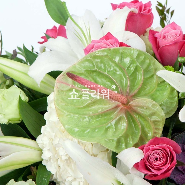 상세이미지