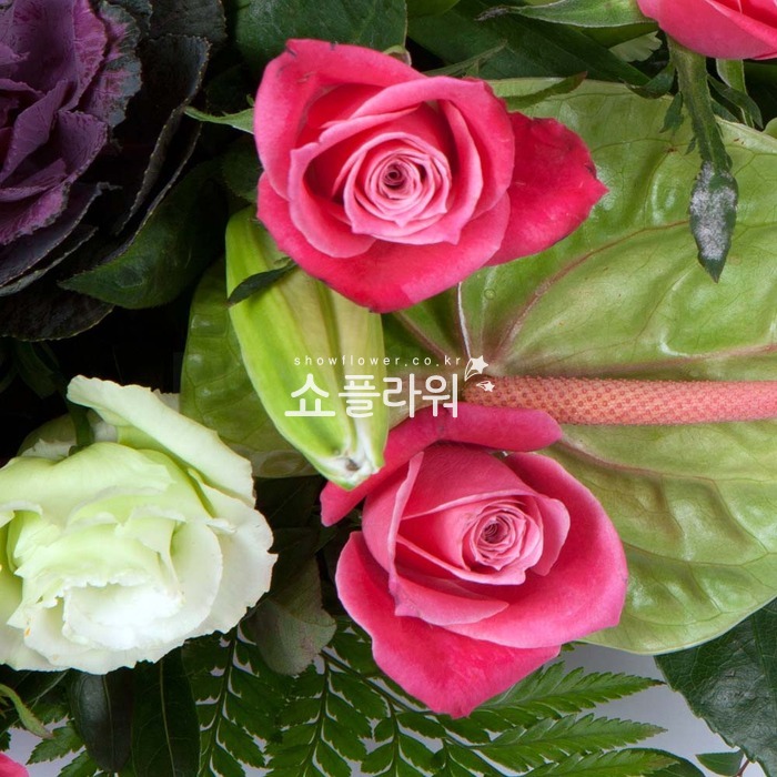 상세이미지