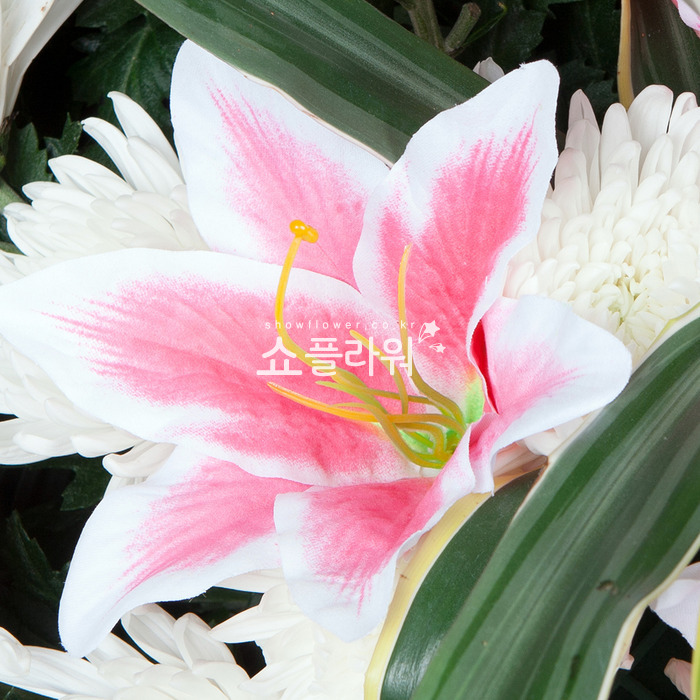 상세이미지