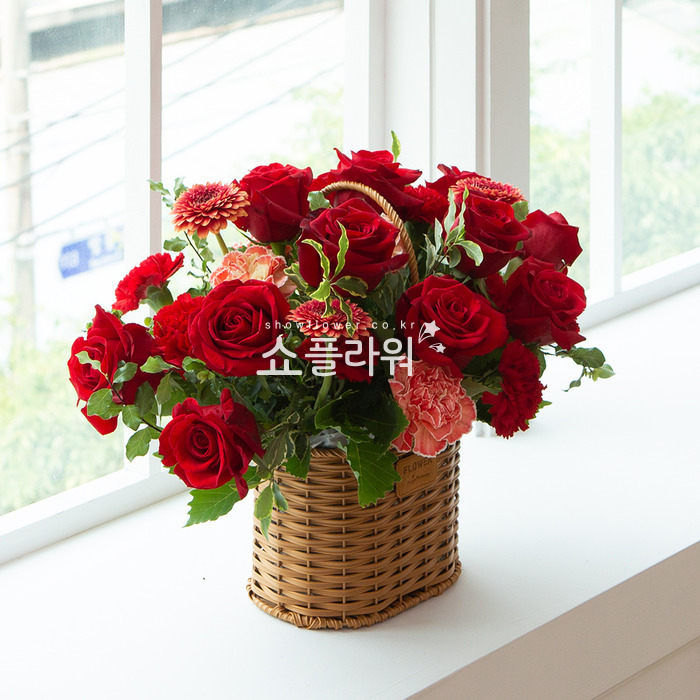 상세이미지