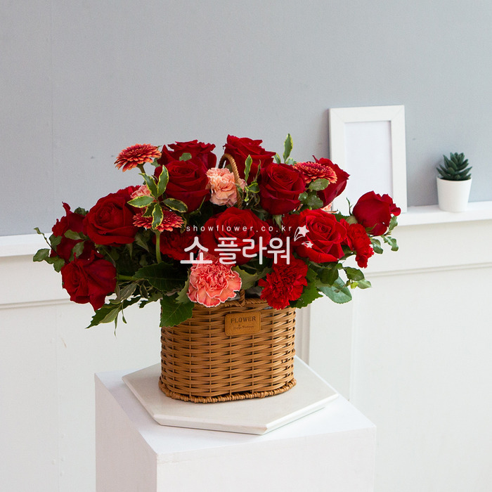상세이미지