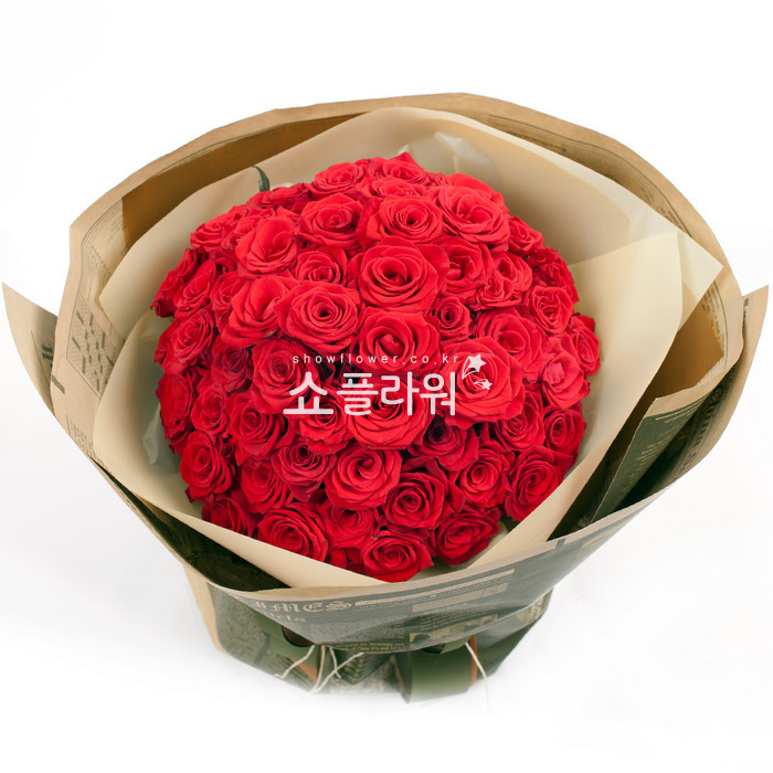 상세이미지
