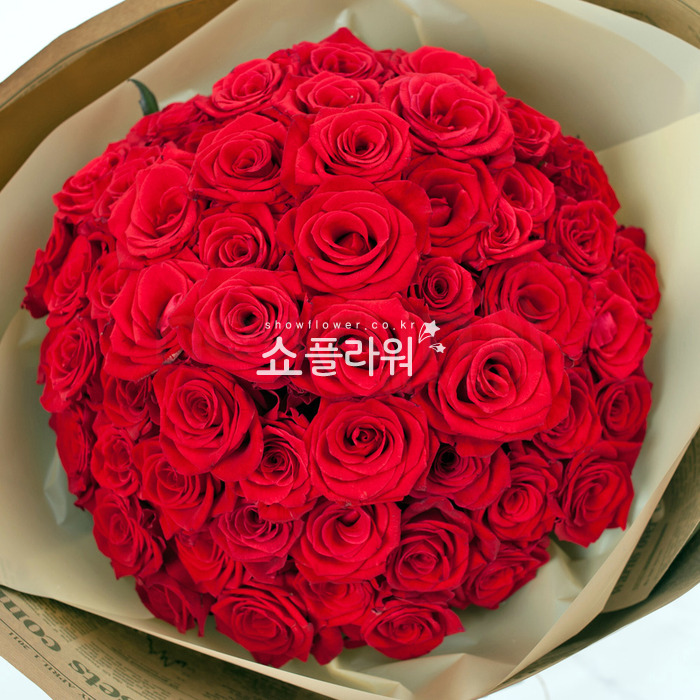 상세이미지