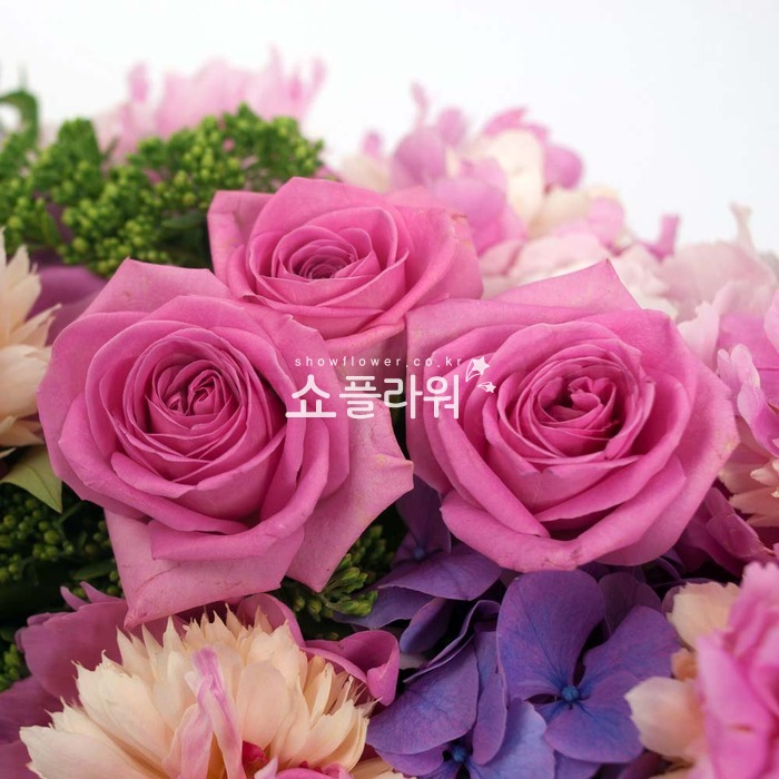 상세이미지