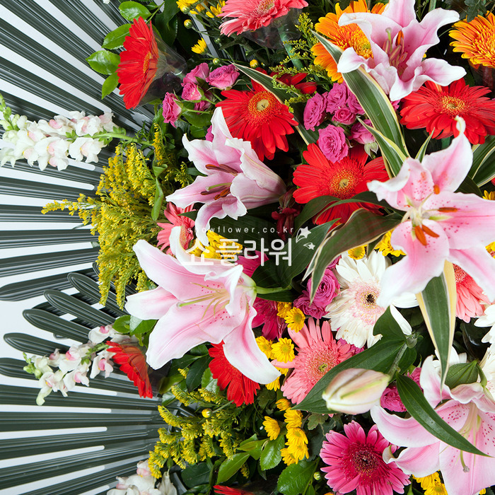 상세이미지