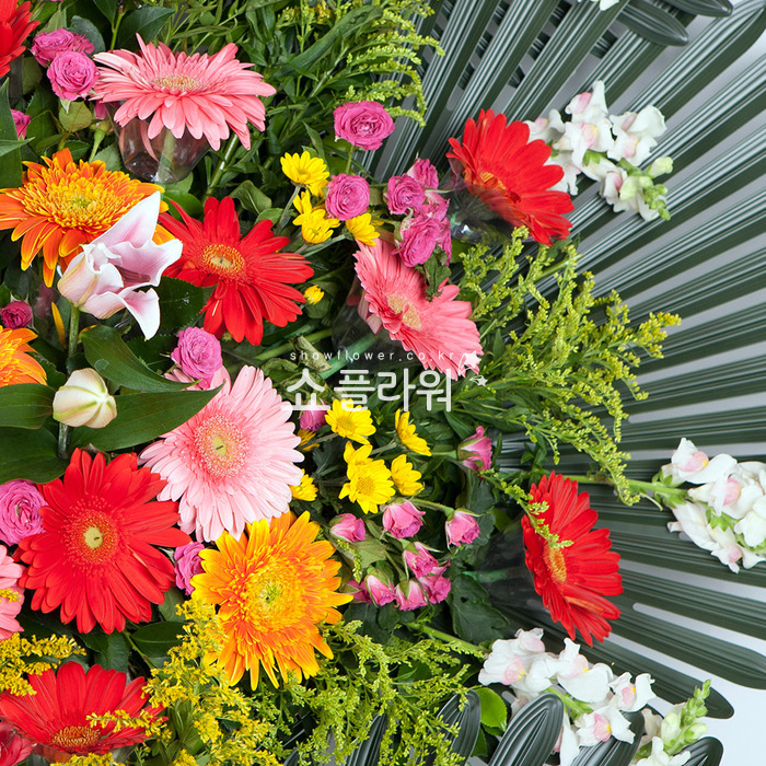 상세이미지