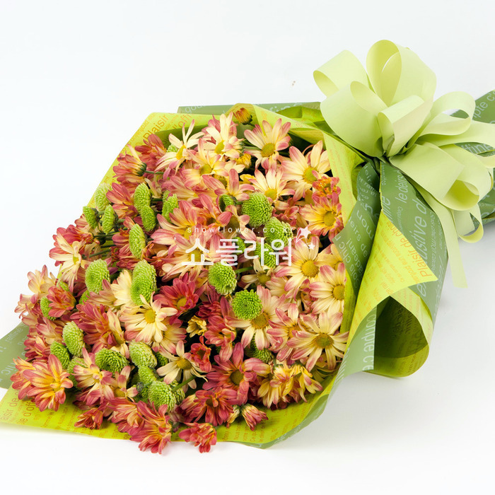 상세이미지