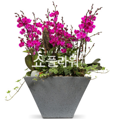 기쁜소식