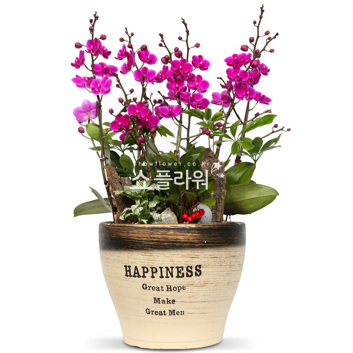 상세이미지