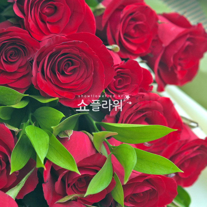 상세이미지
