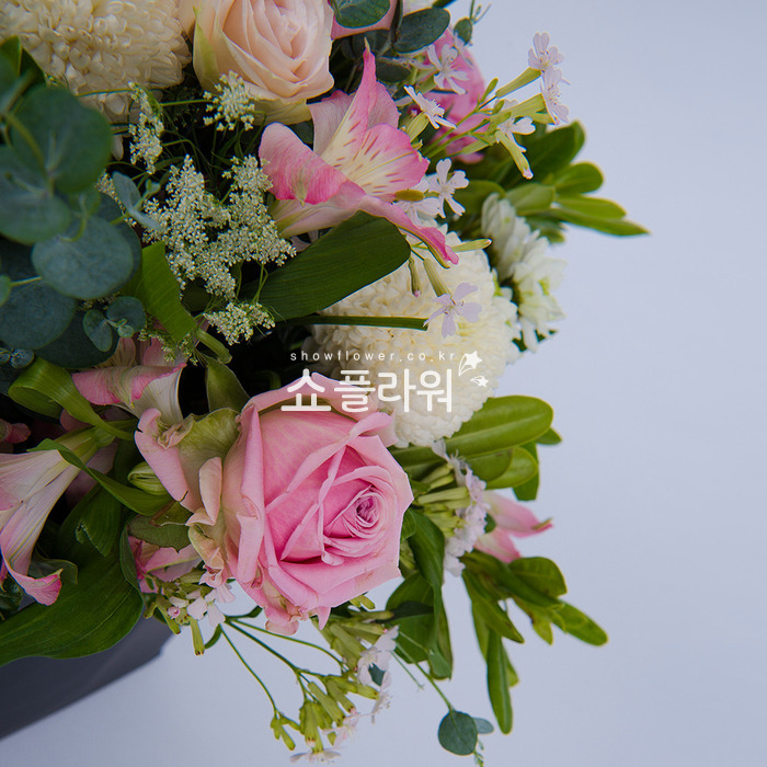 상세이미지