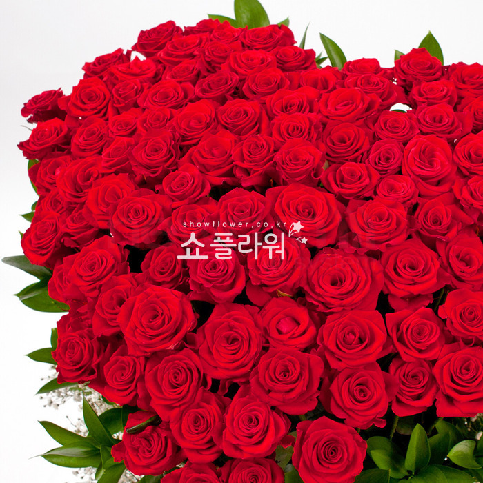 상세이미지