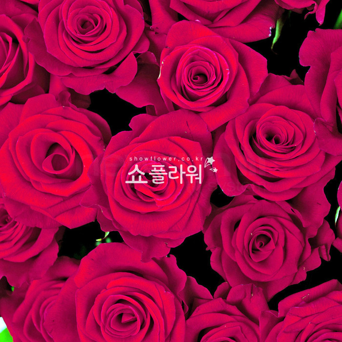 상세이미지