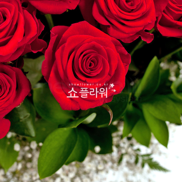 상세이미지