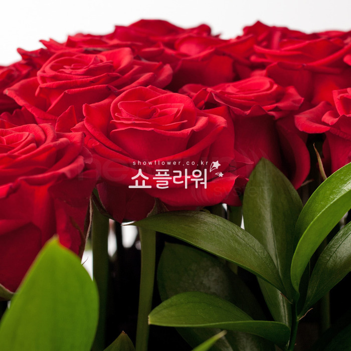 상세이미지