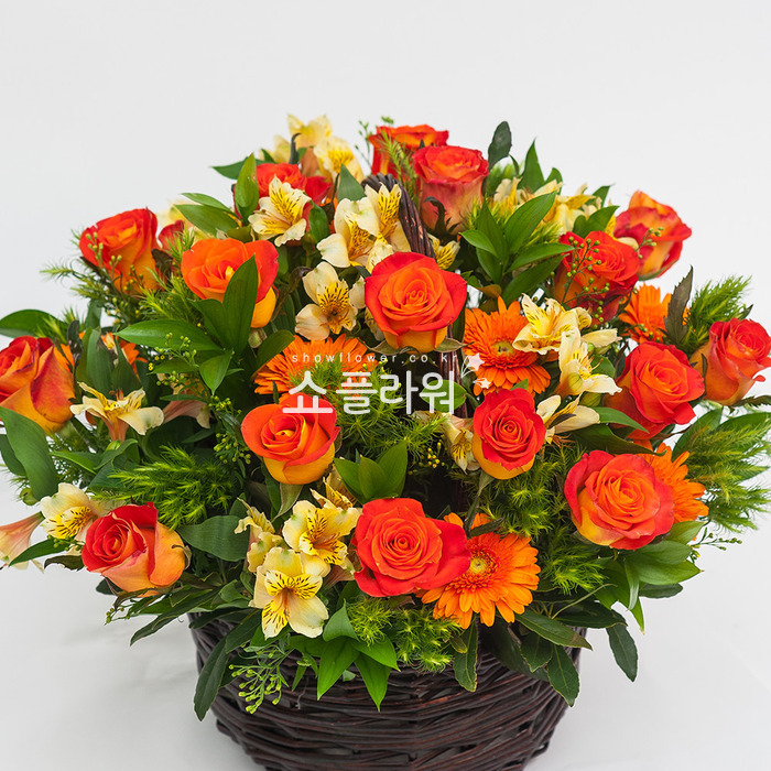 상세이미지