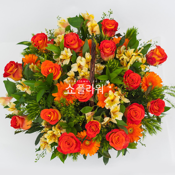 상세이미지