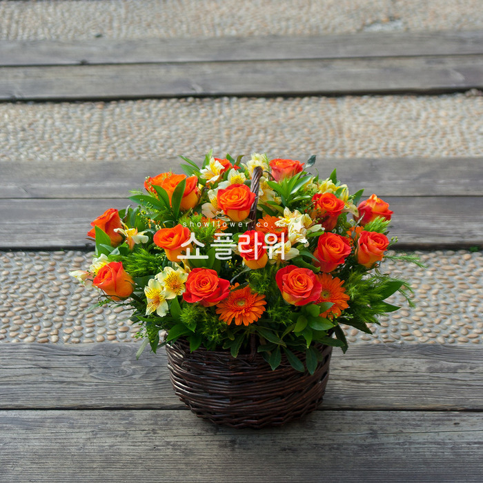 상세이미지