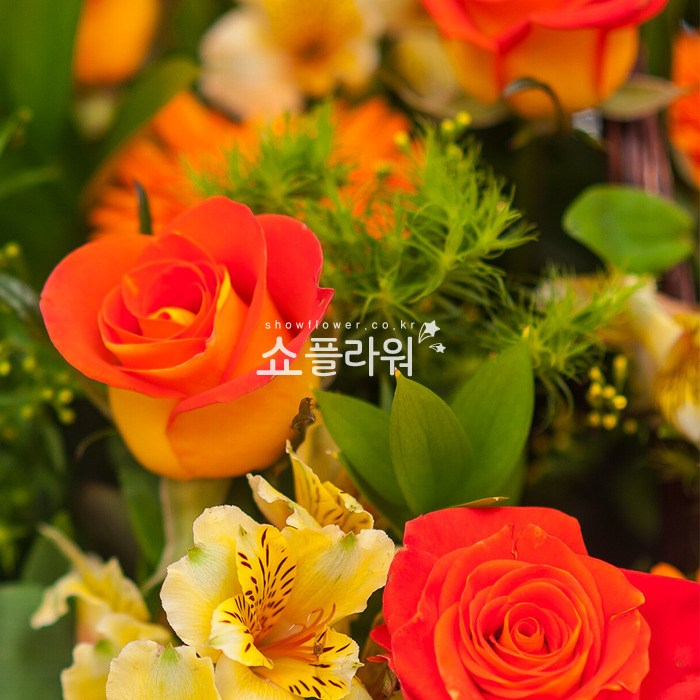 상세이미지