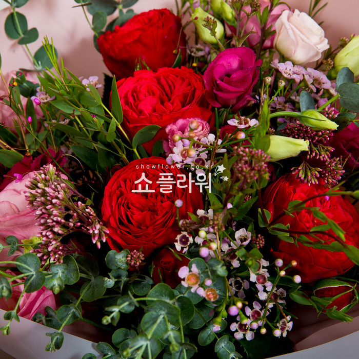 상세이미지