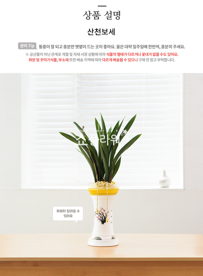 상세이미지