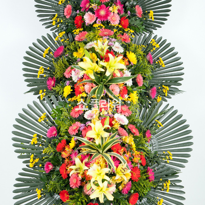 상세이미지