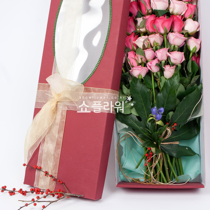 상세이미지