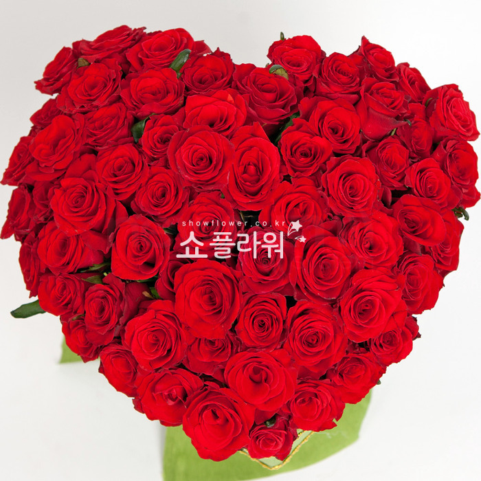 상세이미지