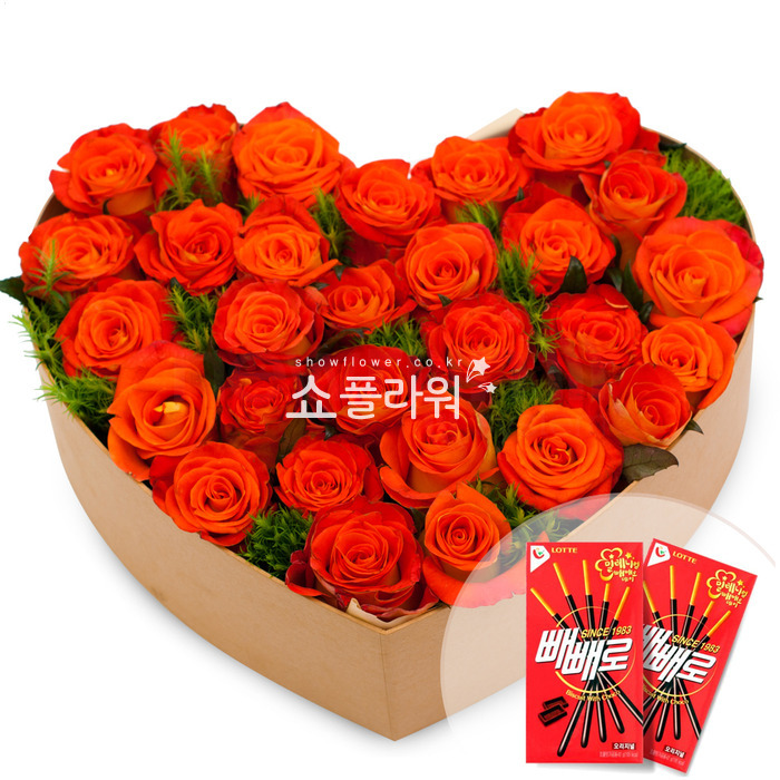 상세이미지
