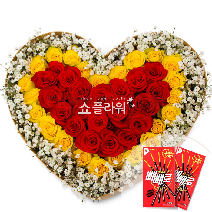 상세이미지