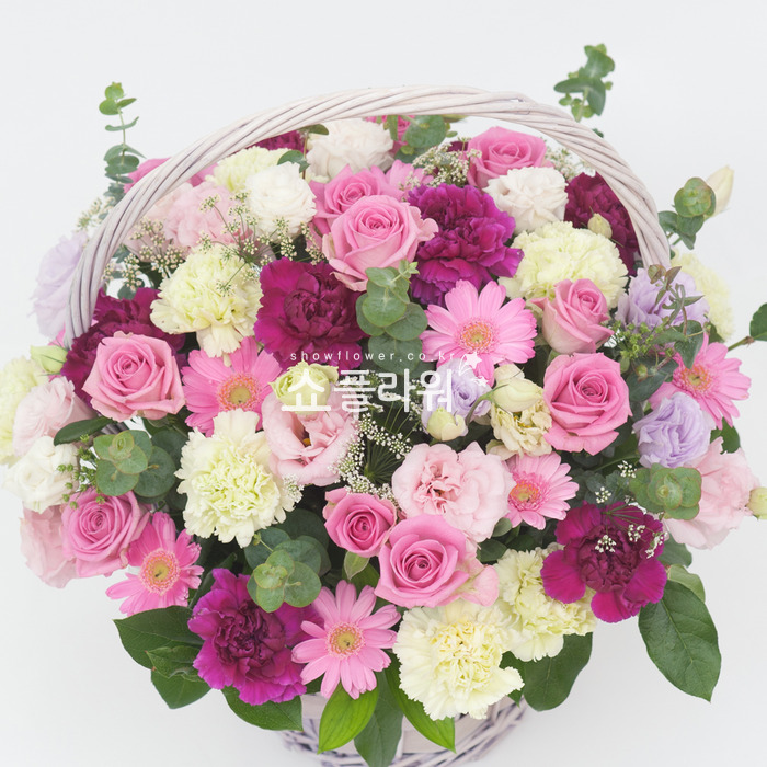 상세이미지