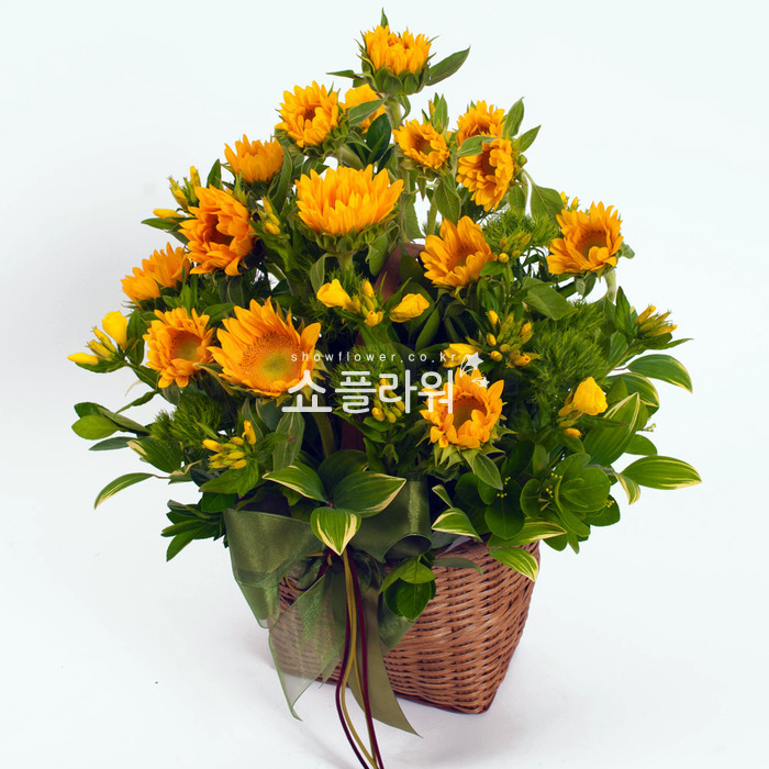 상세이미지