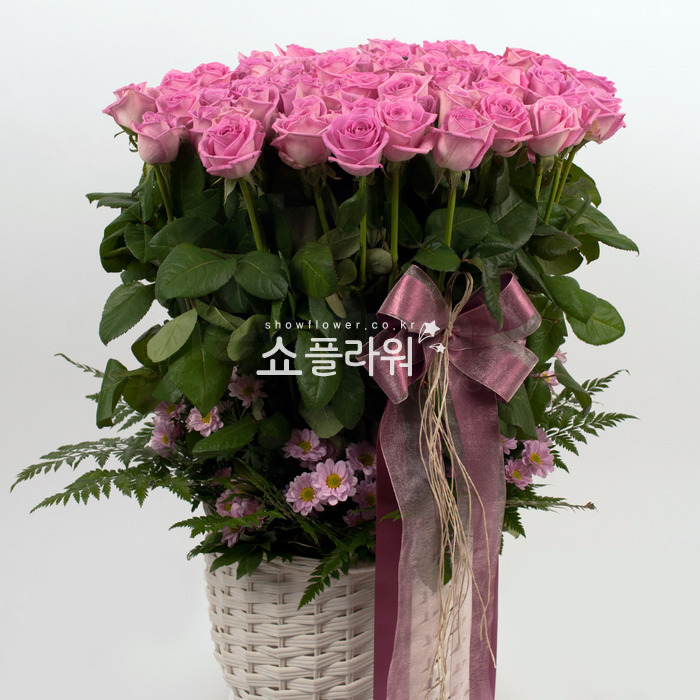상세이미지
