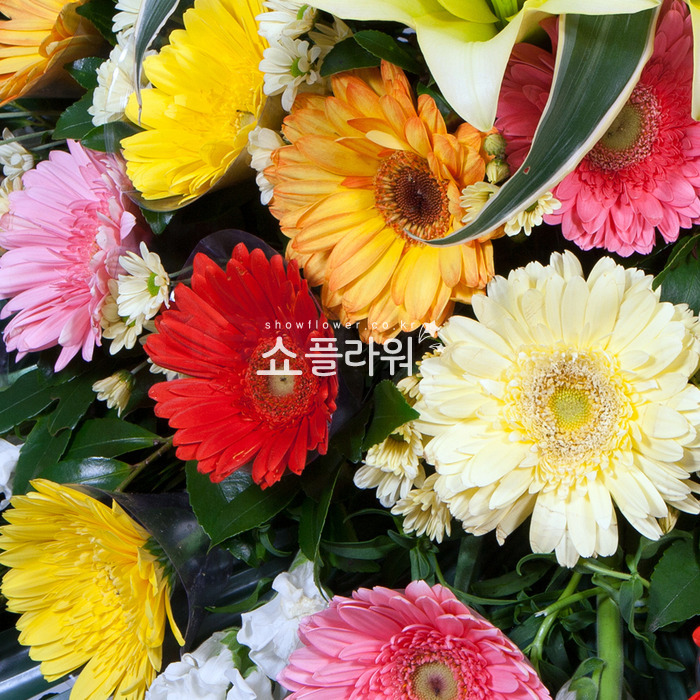 상세이미지