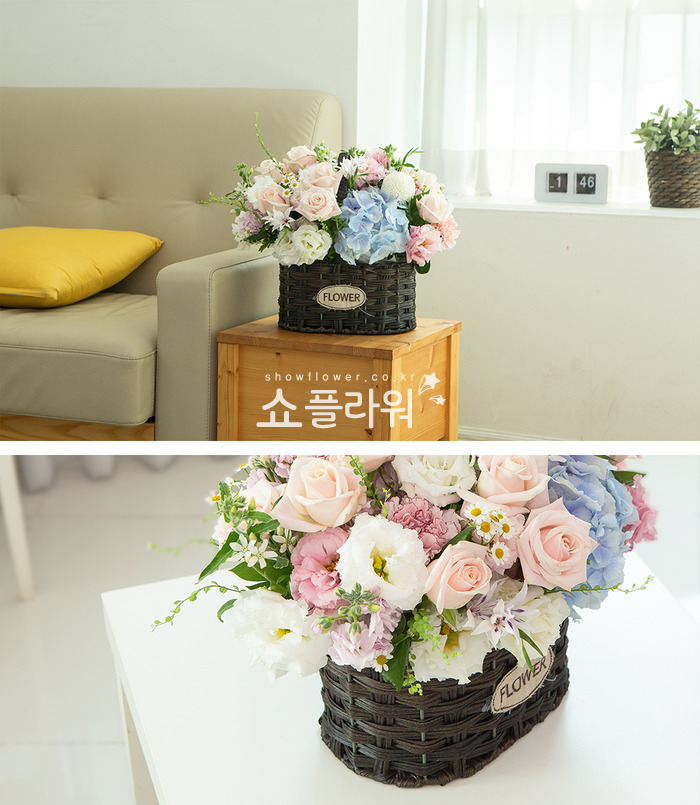 상세이미지