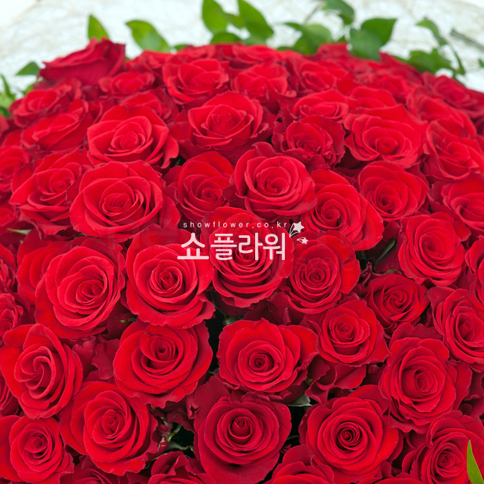상세이미지