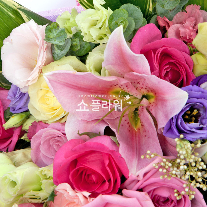 상세이미지
