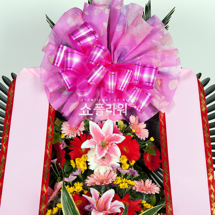 상세이미지